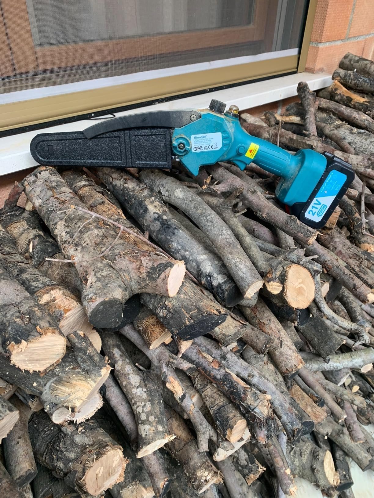 recensione-1-motosega-1-1.jpg recensione-1-motosega-1-1.jpg