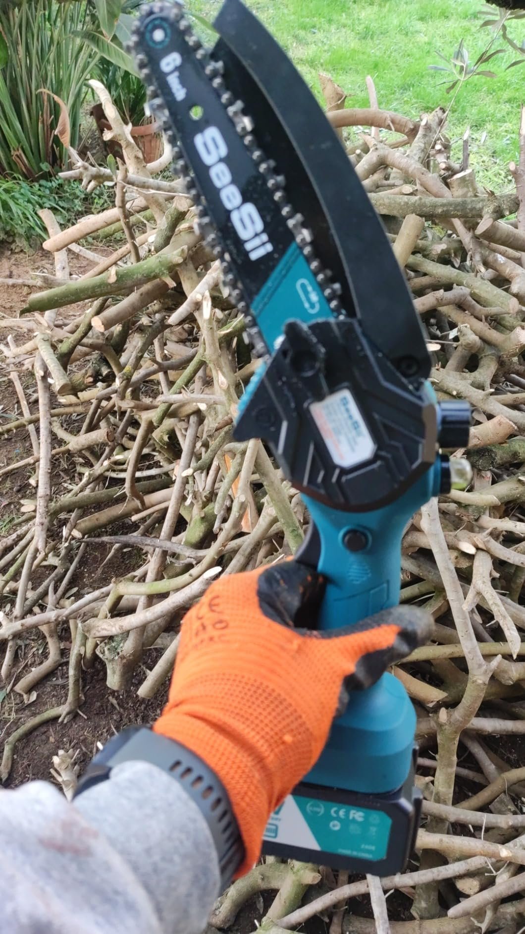 recensione-4-motosega-1-1.jpg recensione-4-motosega-1-1.jpg